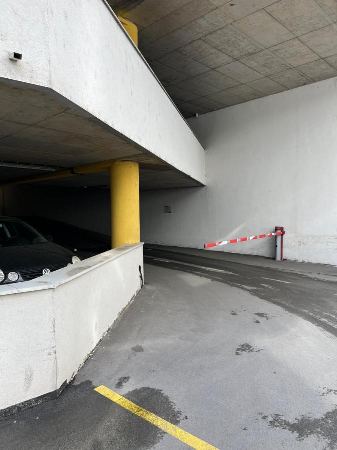 Apartman Didi2- Free Private Parking-Garage Novi Sad Buitenkant foto