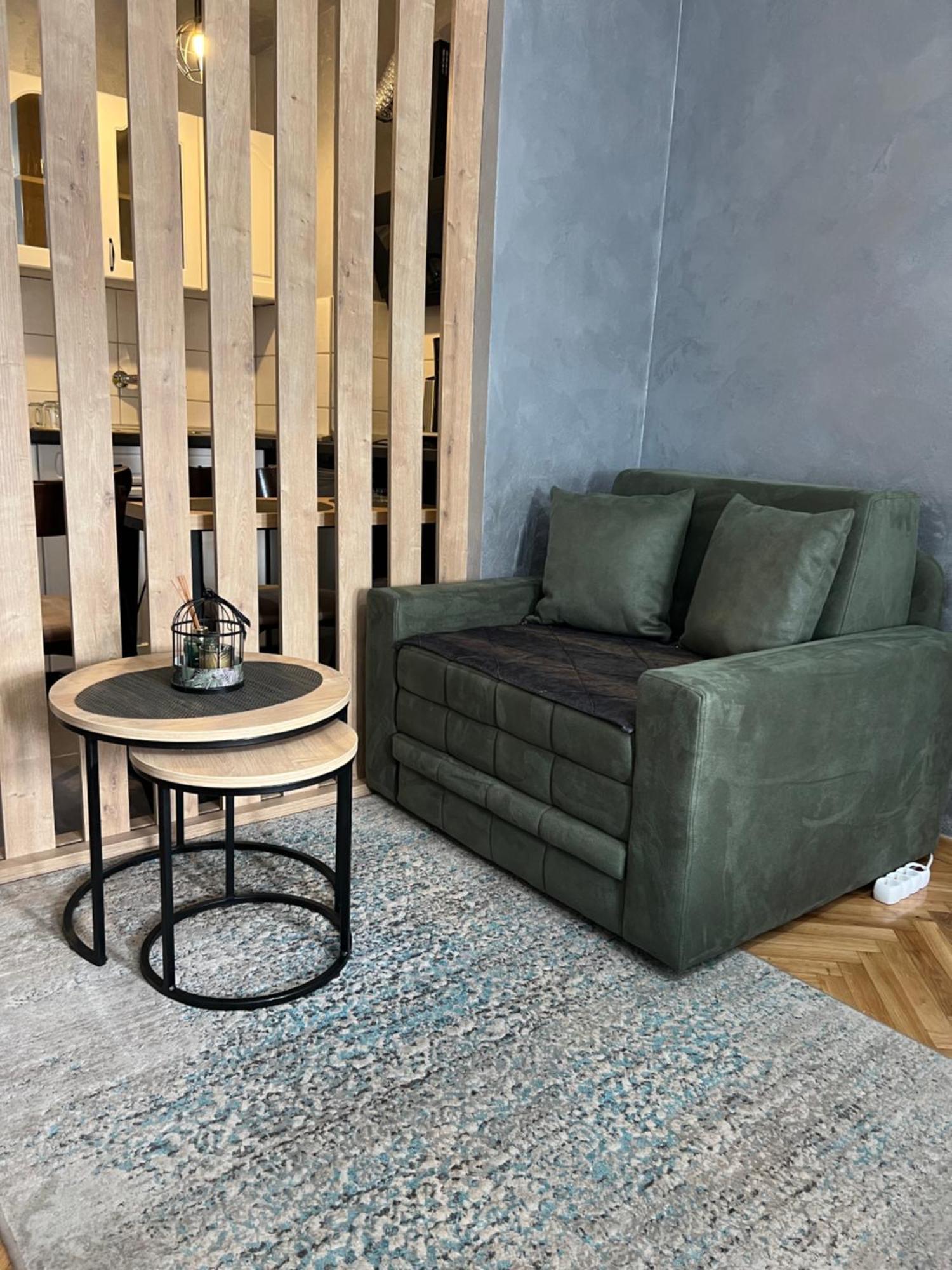 Apartman Didi2- Free Private Parking-Garage Novi Sad Buitenkant foto
